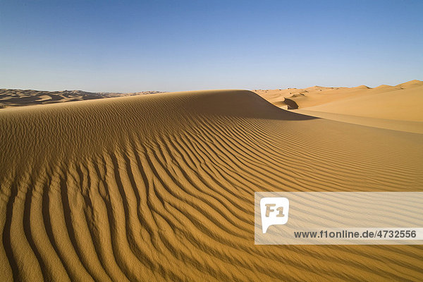 Sand dunes in the Libyan Desert  Sahara  Libya  North Africa  Africa