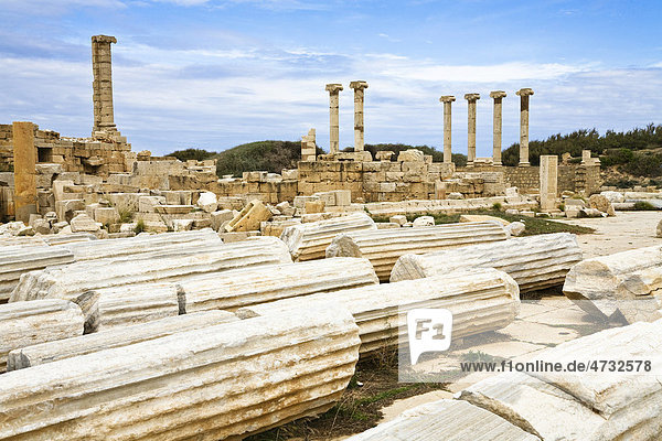 Altes Forum  Leptis Magna  Libyen  Nordafrika  Afrika
