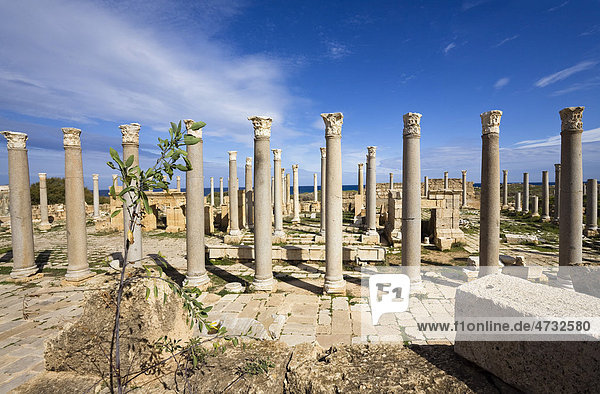 Augustus Tempel  Leptis Magna  Libyen  Nordafrika  Afrika
