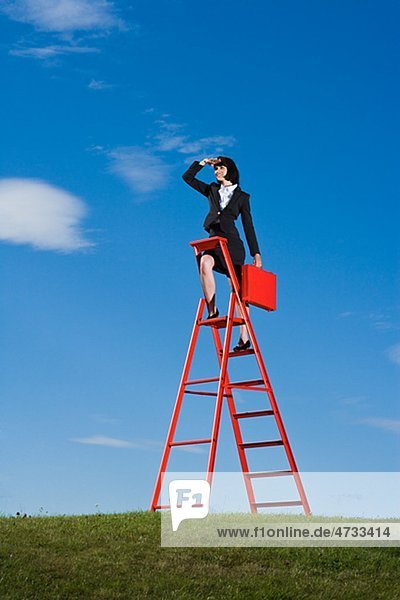 Businesswoman with red briefcase standing on top of red ladder in grass field and shielding eyes