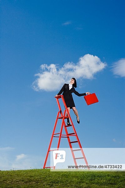 Geschäftsfrau mit red Aktenkoffer Lastenausgleich über red Leiter auf Rasen