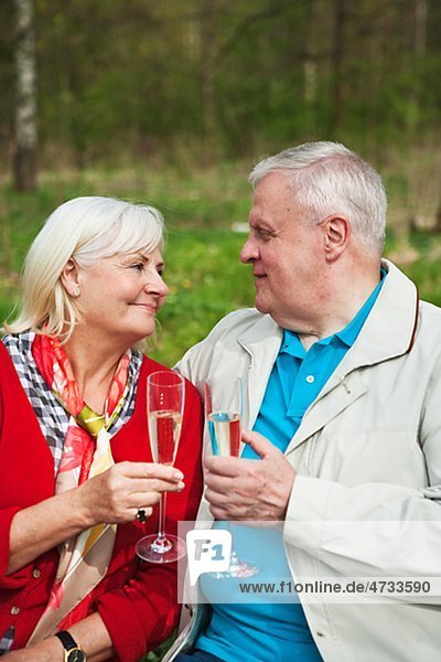 älteres Paar trinken Wein im park