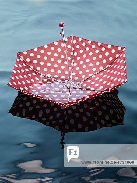 Umbrella floating on water high angle view