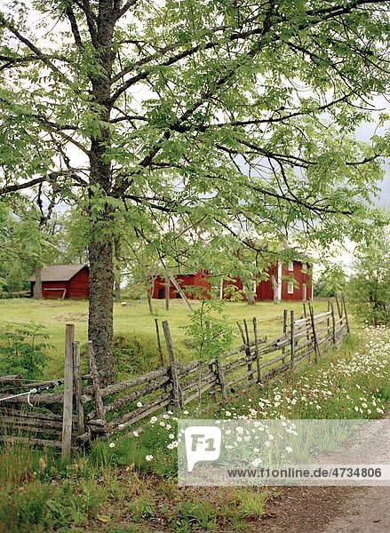 Bauernhaus Baum Hintergrund Zaun