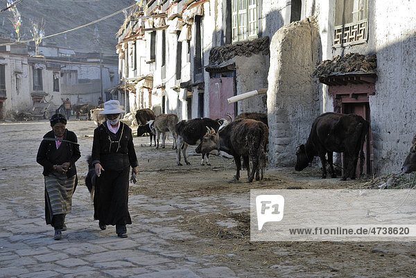 Tibetan women in the old town of Gyantse  Gyangze  Tibet  China  Asia