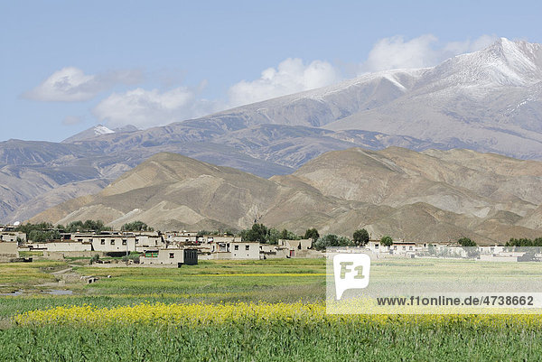 Feld und tibetisches Dorf vor Berglandschaft  Friendship Highway zwischen Shigatse und Lhatse  Tibet  China  Asien