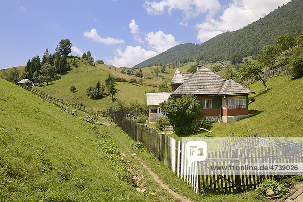 Haus in einer Senke  Streusiedlung Magura  Königsteingebirge oder Piatra-Craiului-Gebirge  Rumänien  Europa