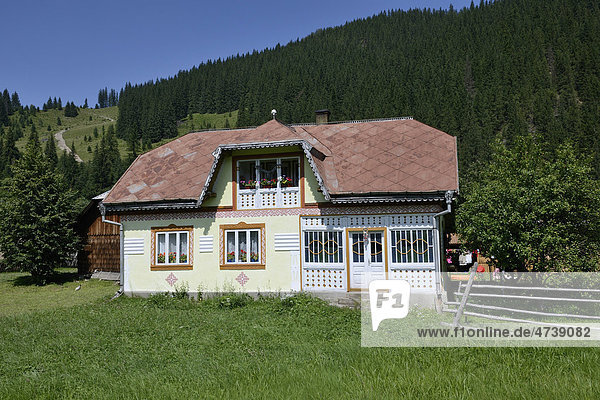 Traditionell bemaltes Haus  Ciocanesti  Suceava  Rumänien  Europa