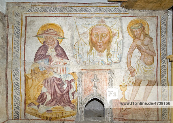 Frescoes from 1400  fortified church of St. James the Elder  Lichtenegg  Bucklige Welt region  Lower Austria  Austria  Europe