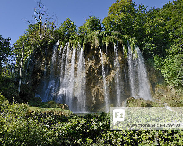 Wasserfall Veliki Prstavac  Plitvicer Seen  Kroatien  Europa