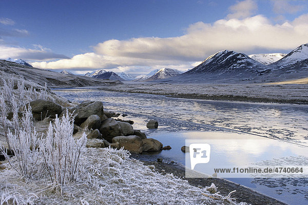 Hoar frost along Hoerg· river  _elamoerk  Hoerg·rdalur  Akureyri  north Iceland