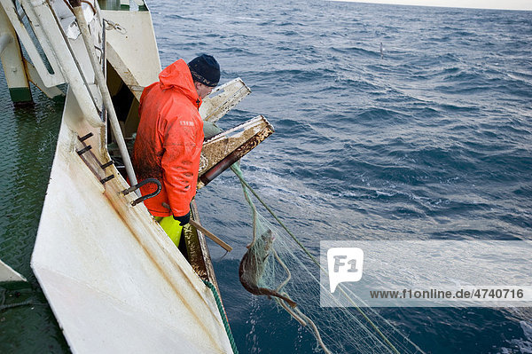 Fischer auf einem kleinen Seitentrawler beim Einholen des Netzes beim Dorschfang  Brei_afjör_ur  Island  Europa