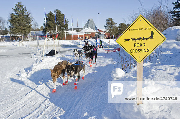 Schild entlang des Trails in Karasjok  Finnmarksl¯pet  nördlichstes Schlittenhunderennen der Welt  Karasjok  Finnmark  Lappland  Norwegen  Europa