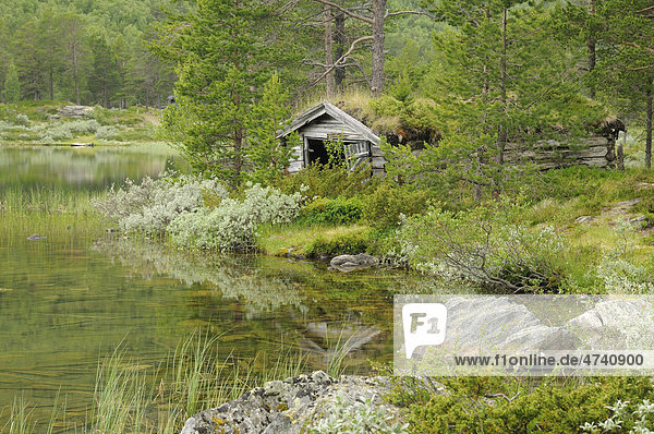 Alte Hütte an einem See  Lemonsj¯en  Norwegen  Skandinavien  Europa