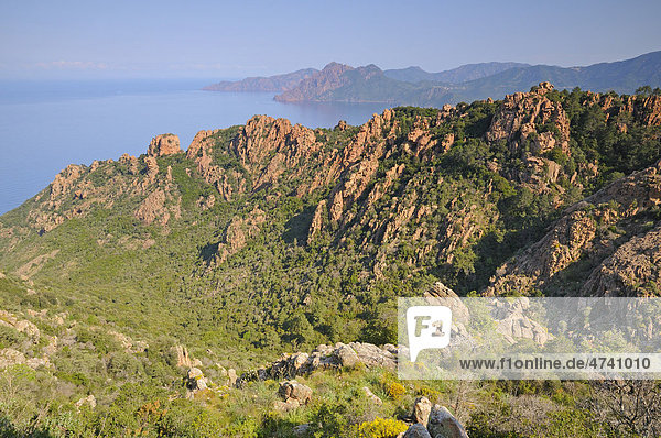 Calanche  Felsenlandschaft an der Westküste von Korsika  Frankreich  Europa