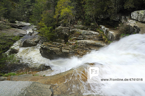 Wasserfall in der Piscine d'Aitone  Korsika  Frankreich  Europa