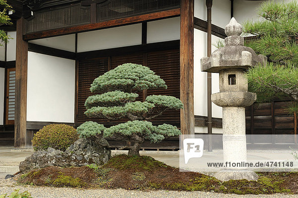 Bonsai pine tree  stone lamp  and a shoji  a sliding door  Iwakura near Kyoto  Japan  Asia