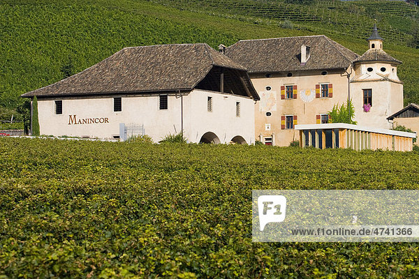 Weingut in Südtirol  Italien  Europa