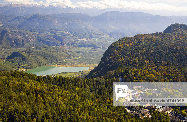 Umgebung vom Kalterersee  Kalterer See  Südtirol  Italien  Europa