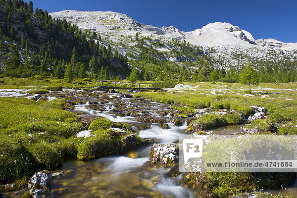 Fließender Bach auf der Alm  Fanesalm  Südtirol  Italien  Europa