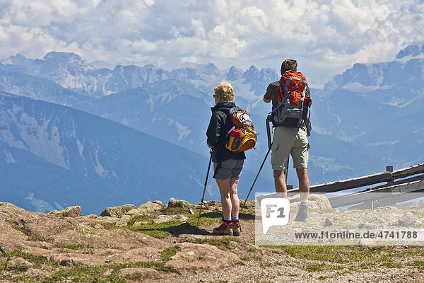 Wanderers  hiking  Alto Adige  Italy  Europe