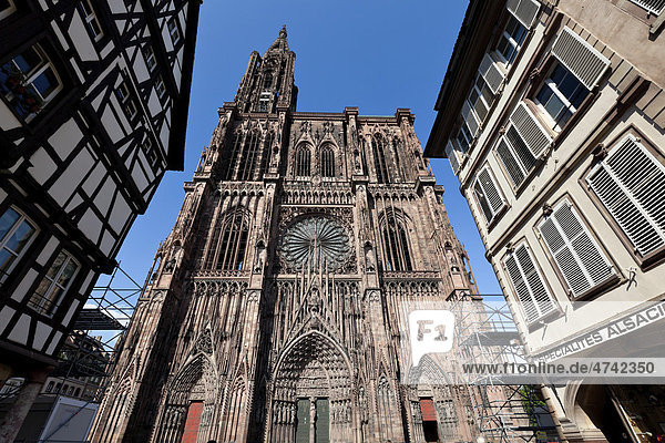 Gotische Kirchenfassade  Straßburger Münster  Liebfrauenmünster  Straßburg  Elsass  Frankreich  Europa