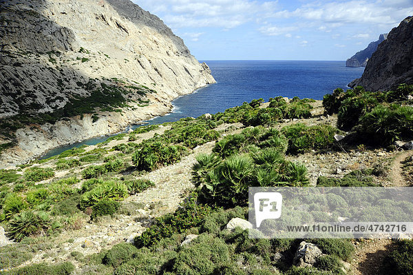 Bucht Cala Boquer  Landschaft an der Cap de Formentor Halbinsel  Mallorca  Majorca  Balearen  Balearische Inseln  Mittelmeer  Spanien  Europa