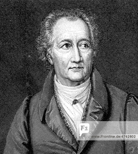 Goethe im 70. Lebensjahre  historische Abbildung aus Deutsche Literaturgeschichte von 1885
