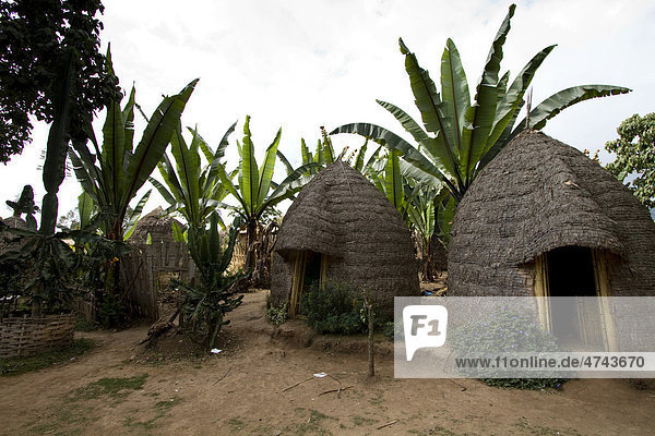 Hütten in Form von Bienenkörben im Dorf Dorze in der Nähe von Arba Minch  Omo-Tal  Süd-Äthiopien  Afrika