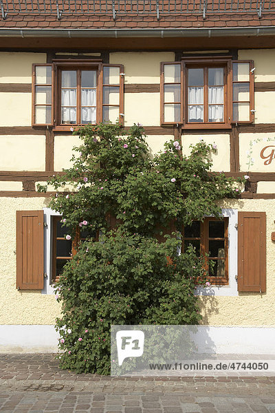 Fachwerkhaus  historisches Gästehaus gegenüber dem Kloster Buch  in Klosterbuch  Sachsen  Deutschland  Europa