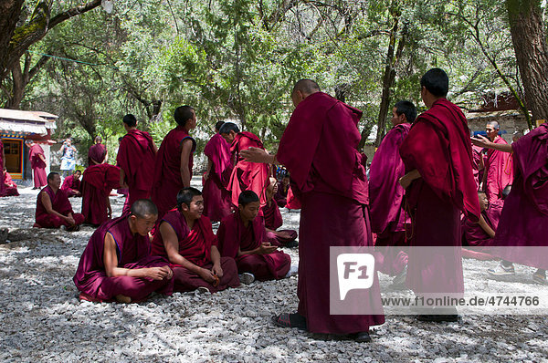 Junge Mönche bei der täglichen Diskussionsstunde im Sagatempel  Lhasa  Tibet  Asien