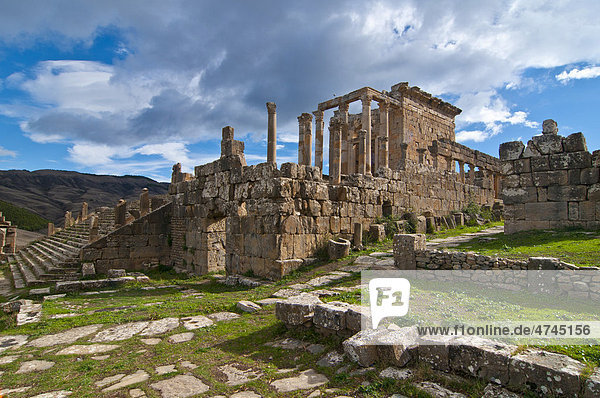 Die römischen Ruinen von DjÈmila  Unesco Weltkulturerbe  Kabylei  Algerien  Afrika