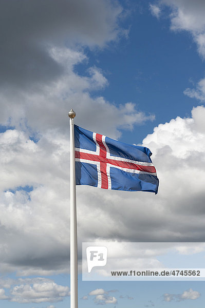 Isländische Nationalflagge  _ingvellir  Thingvellir  Golden Circle  Island  Skandinavien  Nordeuropa  Europa
