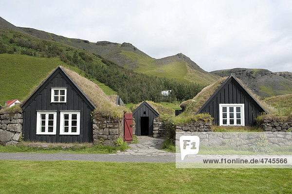 Alte Holzhäuser mit Grasdach  Freilichtmuseum SkÛgar  Skogar  Island  Skandinavien  Nordeuropa  Europa