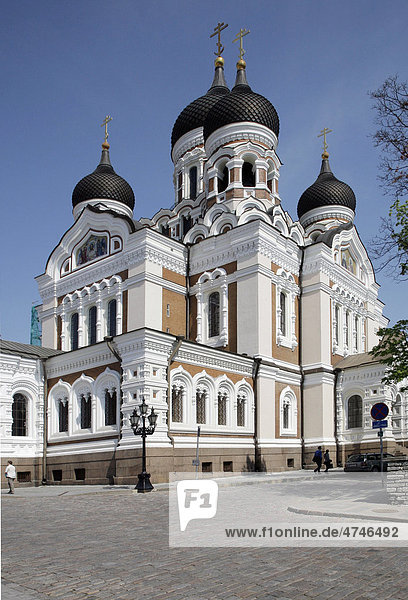 Alexander-Newski-Kathedrale  Tallinn  Estland  Baltikum  Europa