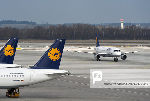 Lufthansa-Flugzeuge stehen am Terminal 2 während dahinter der Lufthansa Airbus A 320-200 Ludwigshafen am Rhein zum Terminal rollt  Flughafen München  Bayern  Deutschland  Europa