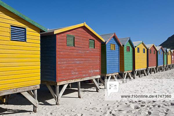 Bunte Umkleidekabinen am Strand von Muizenberg  Westliche Kapregion  Südafrika