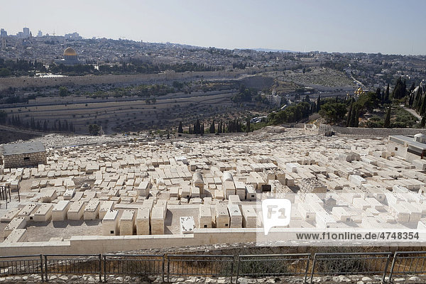 Old Jewish cemetery  Mount of Olives  Jerusalem  Israel  Western Asia