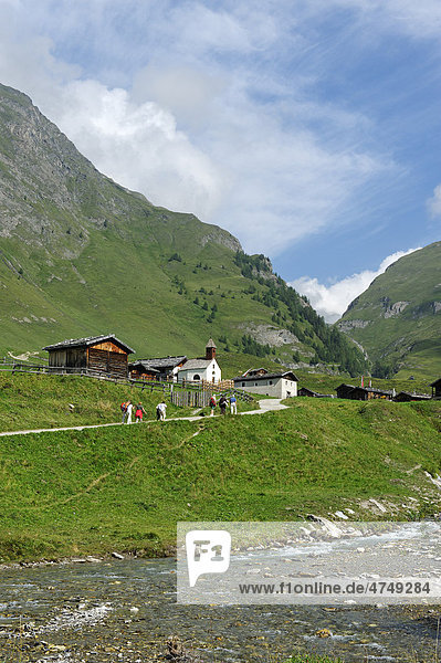 Fanealm  Fane Alm  Valsertal  Pustertal  Pfunderer Berge  Südtirol  Italien  Europa
