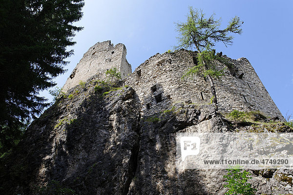 Burgruine Hauenstein auf dem Oswald von Wolkenstein Weg bei Seis  Eisacktal  Südtirol  Italien  Europa
