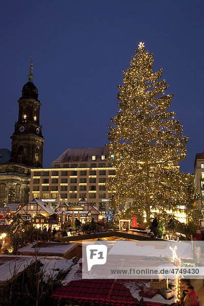 Weihnachtsbaum auf dem Striezelmarkt  Weihnachtsmarkt  Altmarkt  Dresden  Sachsen  Deutschland  Europa