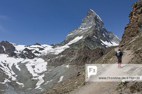 Matterhorn  trail to Hoernlihuette hut  Zermatt  Grisons  Switzerland  Europe