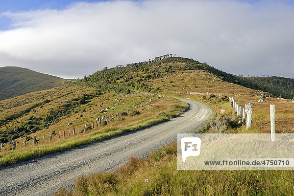 Summit Road von Little River nach Port Levy  Banks Peninsula  Christchurch  Südinsel  Neuseeland