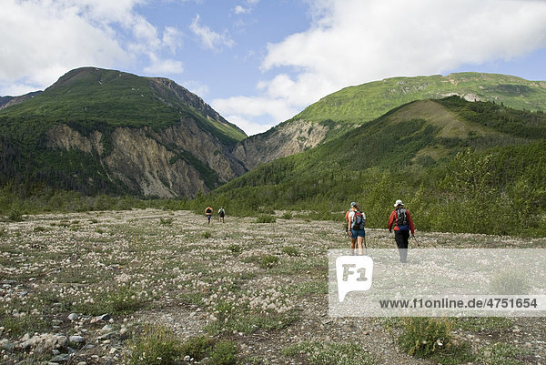 Group of hikers on the Sediment Creek trail along the Tatshenshini River in Tatshenshini-Alsek Provincial Park  British Columbia  Canada  Summer
