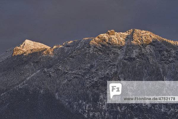 Abendlicht im Winter  Chiemgauer Alpen  Oberbayern  Bayern  Deutschland  Europa