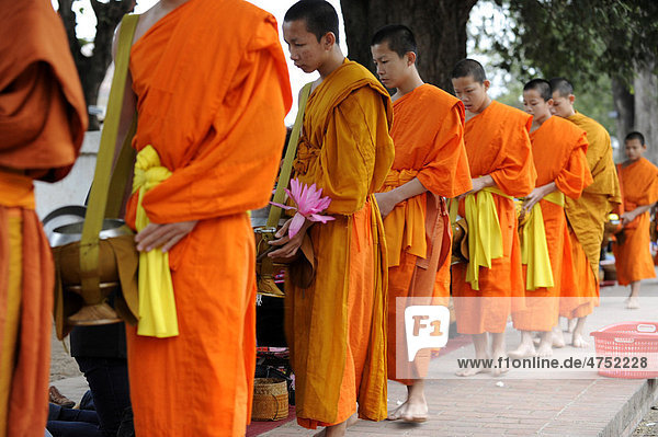 Morning begging for alms of the Buddhist monks  Luang Prabang  Laos  Southeast Asia  Asia