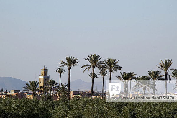 View of Marrakech  Morocco  Africa