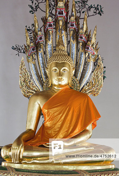 Buddha statue  Wat Po Temple  Bangkok  Thailand  Asia
