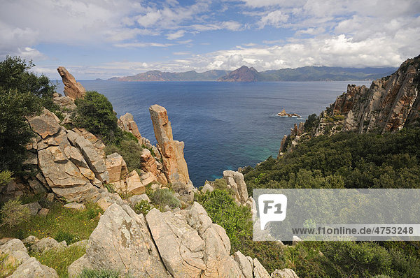 Felsformationen auf der Halbinsel Capu Rosso  Korsika  Frankreich  Europa