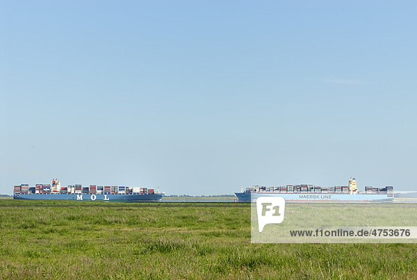 Begegnung zweier Containerschiffe auf der Unterelbe  Kreis Dithmarschen  Schleswig-Holstein  Deutschland  Europa